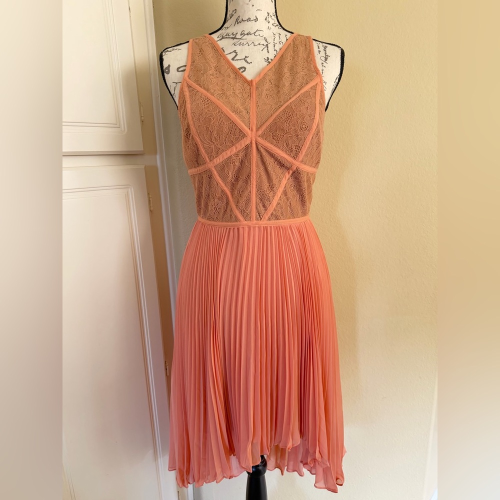 NWT BCBG Lilly Blush Lace Pleated Dress, Size 6